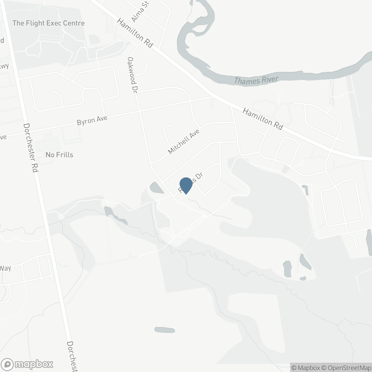 46 RINESS DRIVE, Thames Centre, Ontario N0L 1G3